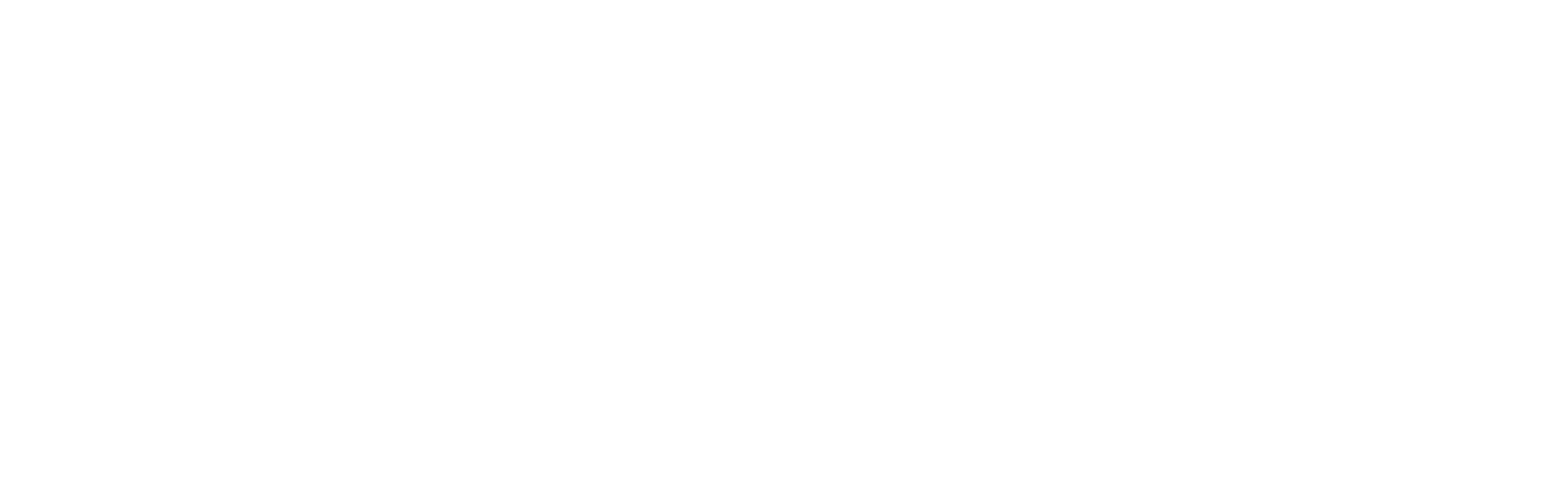 Southern Association Management